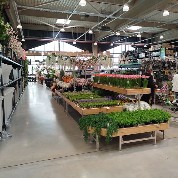 Открытие - PRAKTIS