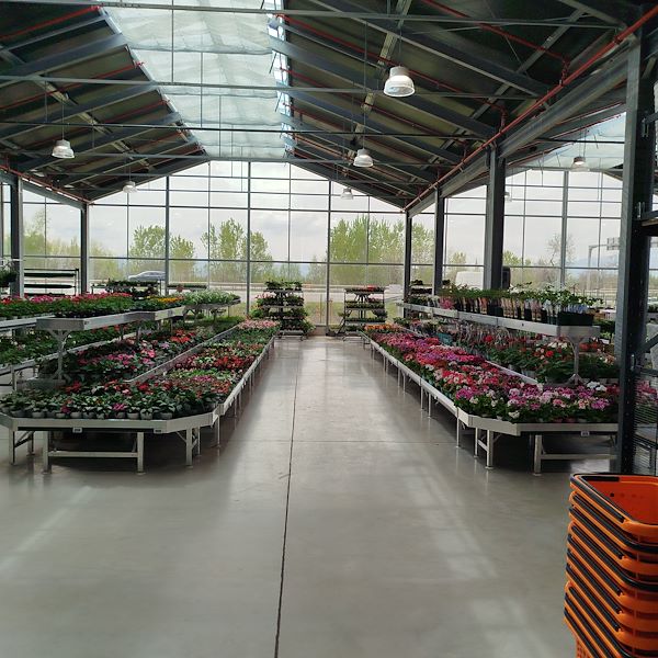 Открытие - PRAKTIS