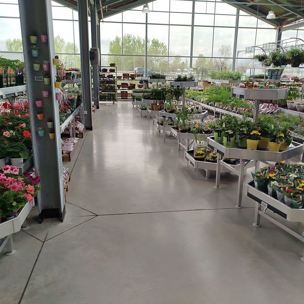 Открытие - PRAKTIS