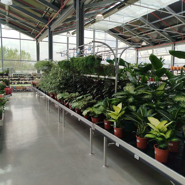 The opening - PRAKTIS