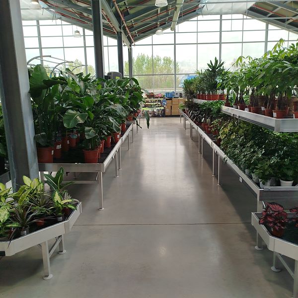 The opening - PRAKTIS