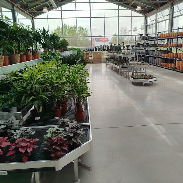 Открытие - PRAKTIS