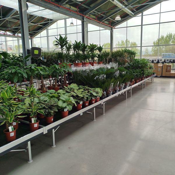 The opening - PRAKTIS