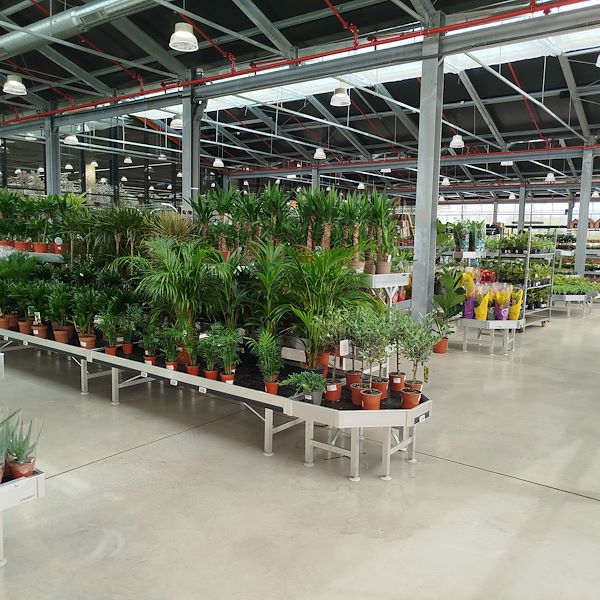 Открытие - PRAKTIS