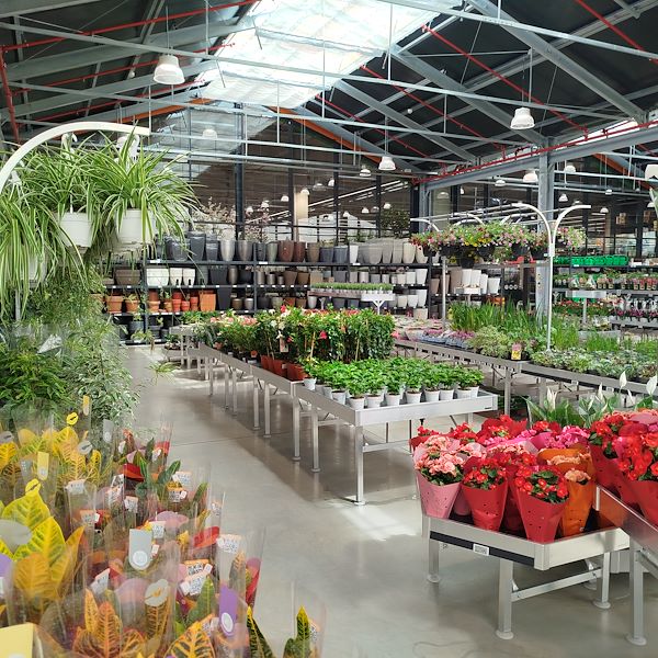 Открытие - PRAKTIS