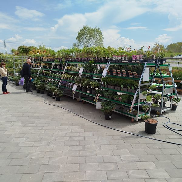 Открытие - PRAKTIS