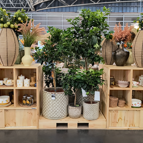 Wooden shelving with boxed shelves