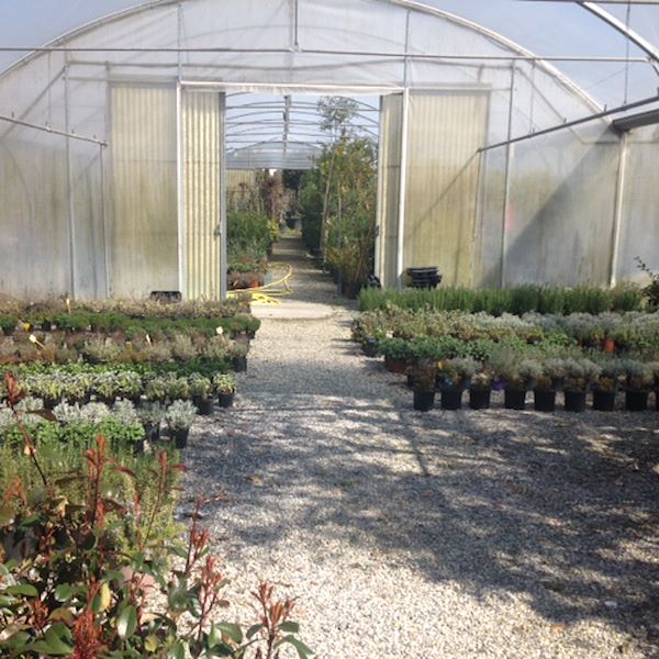 Garden Frediani before restyling