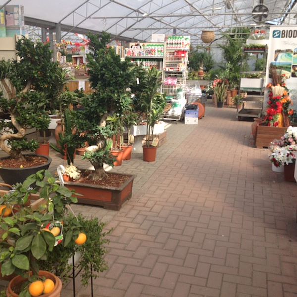 Garden Frediani before restyling