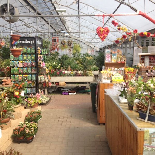 Garden Frediani before restyling