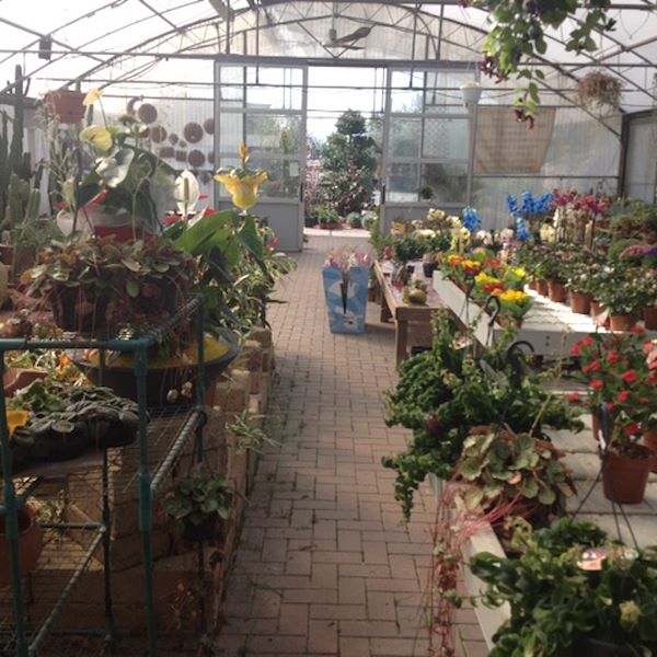 Сад Фредиани до рестайлинга