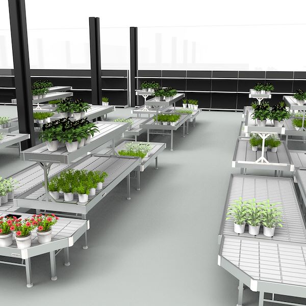 Проект - PRAKTIS