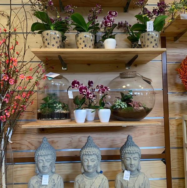 Новая концепция Paviotti от Орланделли