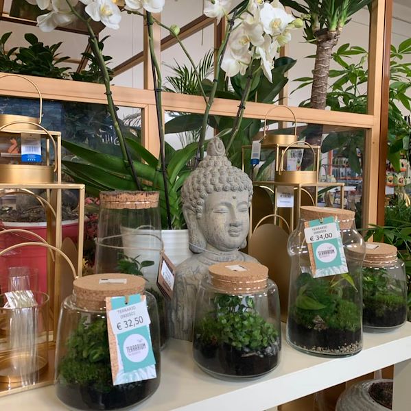 Новая концепция Paviotti от Орланделли