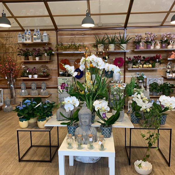 Новая концепция Paviotti от Орланделли