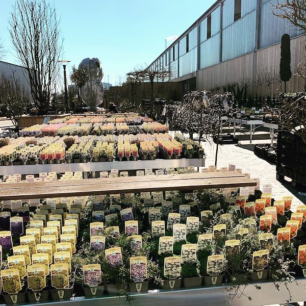 Стационарные алюминиевые торговые столы, которые необходимо собрать