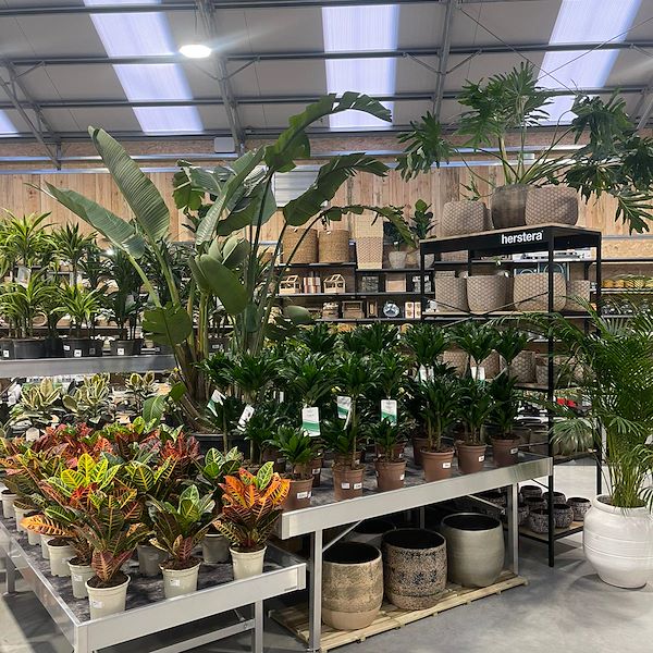 FINAL RESULT OF THE GARDEN CENTER OFORNO