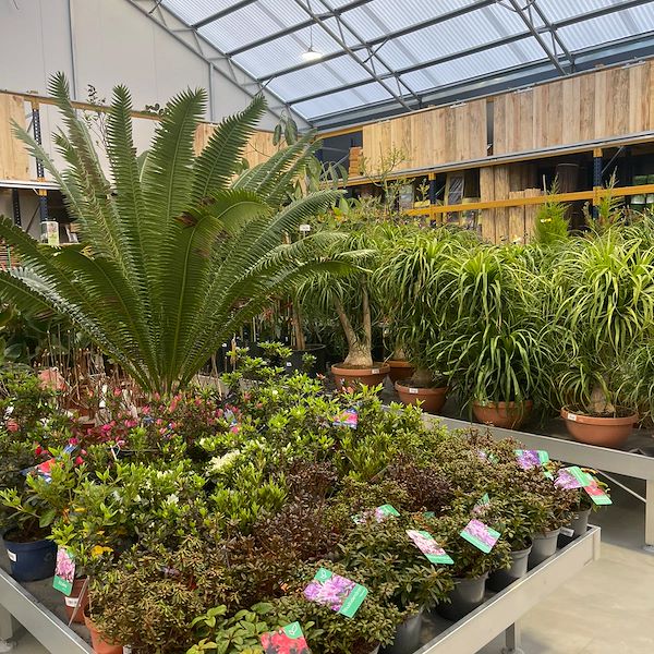 ОКОНЧАТЕЛЬНЫЙ РЕЗУЛЬТАТ САДОВОГО ЦЕНТРА ОФОРНО