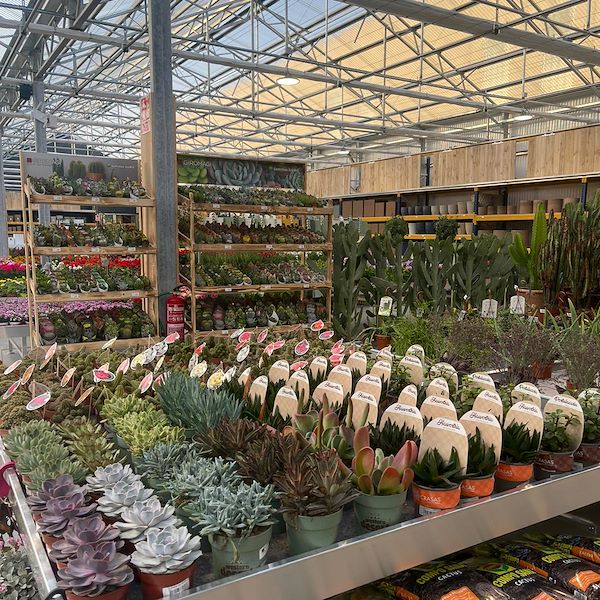 ОКОНЧАТЕЛЬНЫЙ РЕЗУЛЬТАТ САДОВОГО ЦЕНТРА ОФОРНО