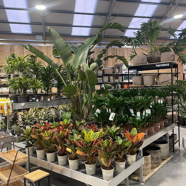 ОКОНЧАТЕЛЬНЫЙ РЕЗУЛЬТАТ САДОВОГО ЦЕНТРА ОФОРНО