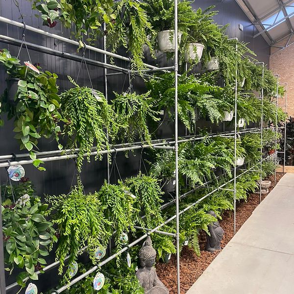 ОКОНЧАТЕЛЬНЫЙ РЕЗУЛЬТАТ САДОВОГО ЦЕНТРА ОФОРНО