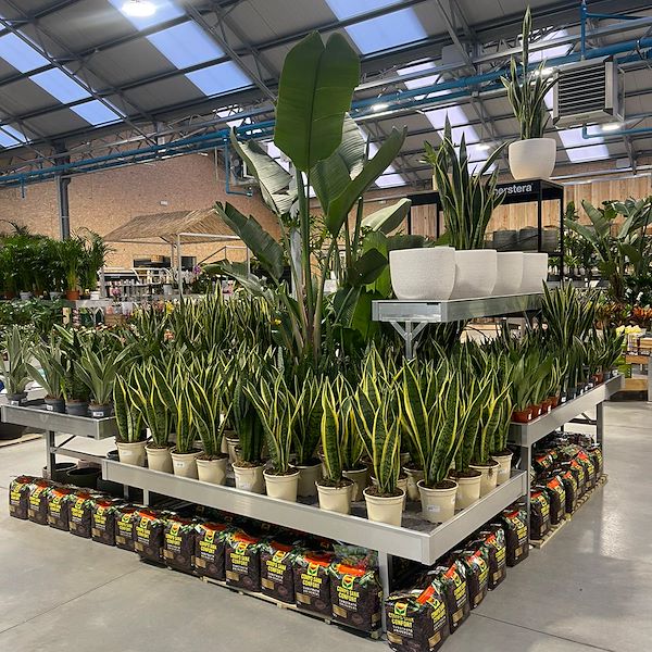 FINAL RESULT OF THE GARDEN CENTER OFORNO