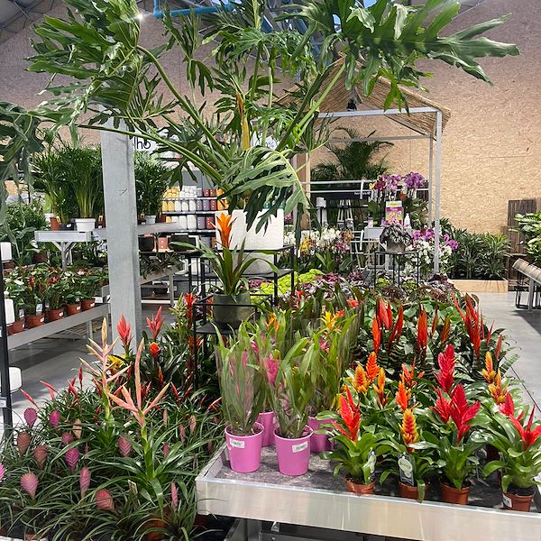 ОКОНЧАТЕЛЬНЫЙ РЕЗУЛЬТАТ САДОВОГО ЦЕНТРА ОФОРНО