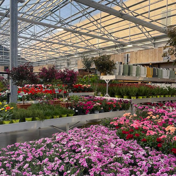 ОКОНЧАТЕЛЬНЫЙ РЕЗУЛЬТАТ САДОВОГО ЦЕНТРА ОФОРНО