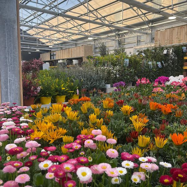 ОКОНЧАТЕЛЬНЫЙ РЕЗУЛЬТАТ САДОВОГО ЦЕНТРА ОФОРНО