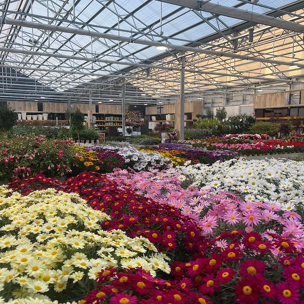 ОКОНЧАТЕЛЬНЫЙ РЕЗУЛЬТАТ САДОВОГО ЦЕНТРА ОФОРНО