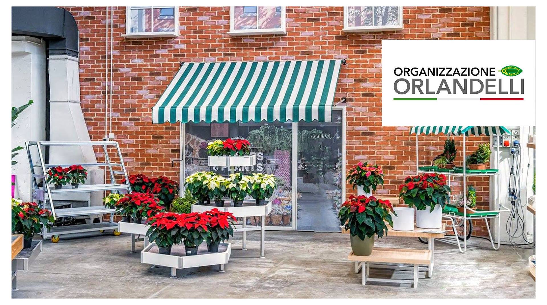 Organizzazione Orlandelli Srl