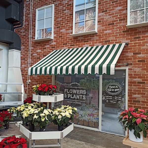 Orlandelli presents the new shopfitting concept for the wrapping area of plants and flowers