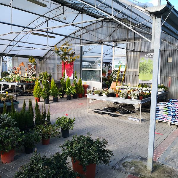 Garden Frediani before restyling