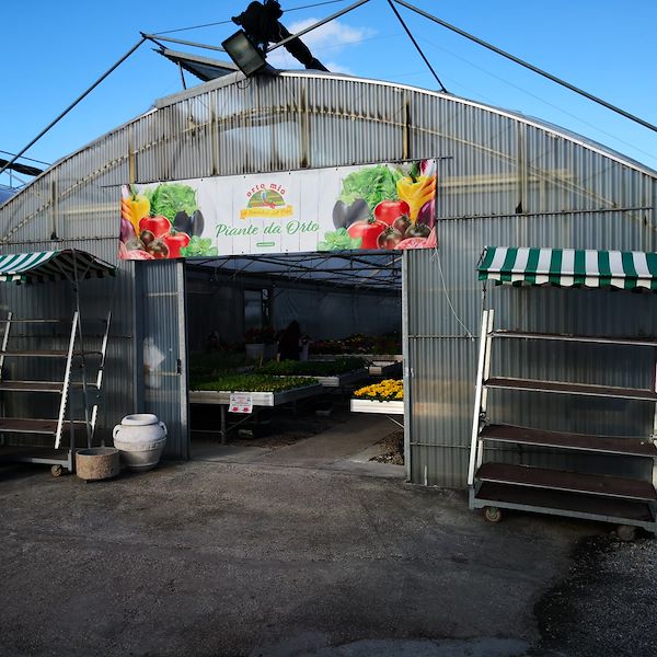 Сад Фредиани до рестайлинга