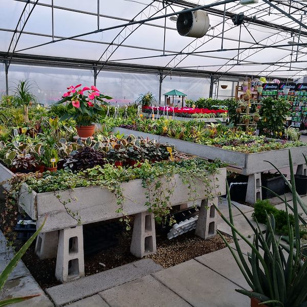 Garden Frediani before restyling