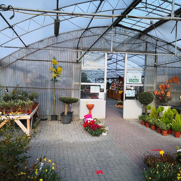 Сад Фредиани до рестайлинга