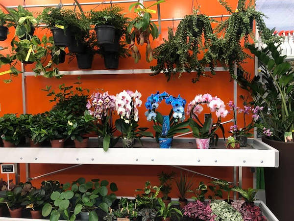 Agri Garden è Natali is renewed with Orlandelli solutions