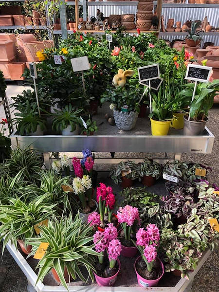 Agri Garden è Natali is renewed with Orlandelli solutions