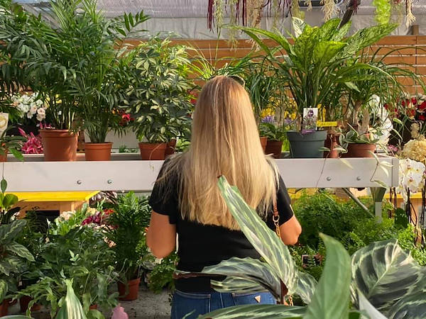 Agri Garden è Natali is renewed with Orlandelli solutions