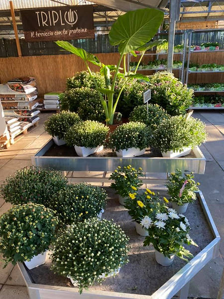 Agri Garden è Natali is renewed with Orlandelli solutions