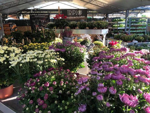 «Agri Garden è Natali» обновляется благодаря решениям от Orlandelli