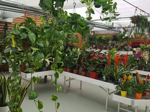 «Agri Garden è Natali» обновляется благодаря решениям от Orlandelli