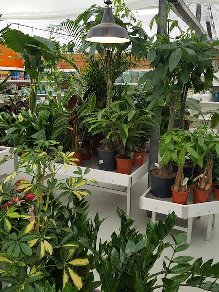 «Agri Garden è Natali» обновляется благодаря решениям от Orlandelli