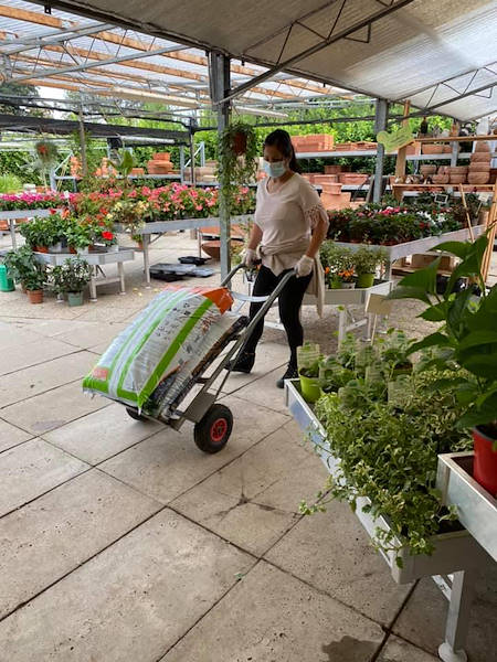 «Agri Garden è Natali» обновляется благодаря решениям от Orlandelli