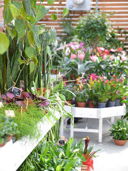 «Agri Garden è Natali» обновляется благодаря решениям от Orlandelli