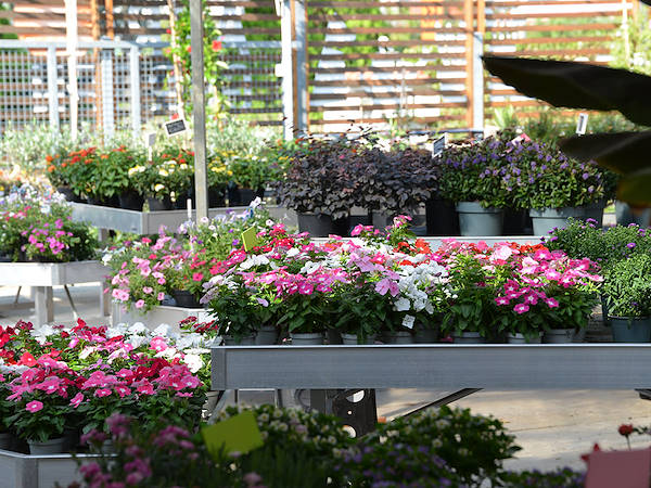 «Agri Garden è Natali» обновляется благодаря решениям от Orlandelli