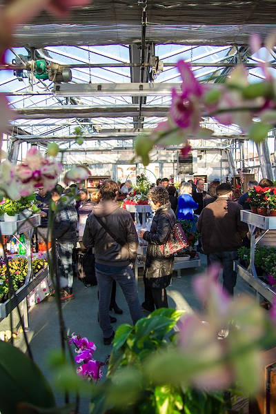 Agriflora: turning a passion into a job