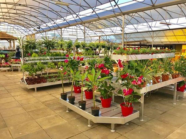 Рестайлинг садового центра Alfa в Португалии