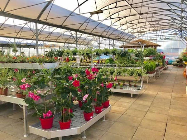 Рестайлинг садового центра Alfa в Португалии