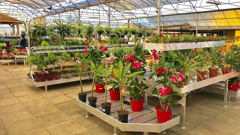 Restyling des Alfa Garden Center in Portugal